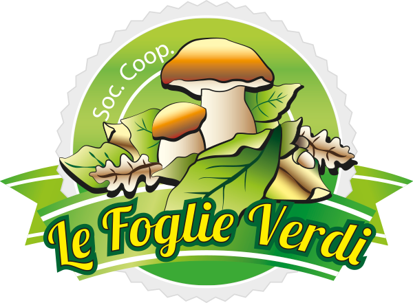 Funghi Porcini secchi – 50 g / 100 g 1 scelta Extra