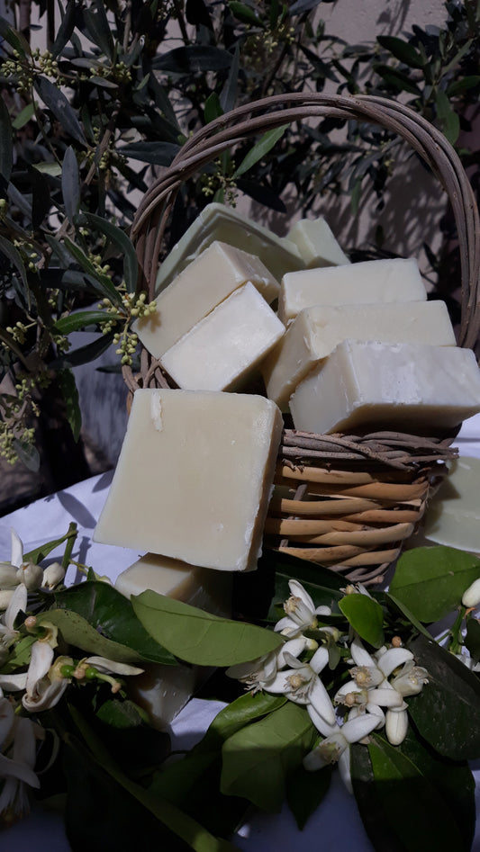 Sapone all' Olio d'oliva